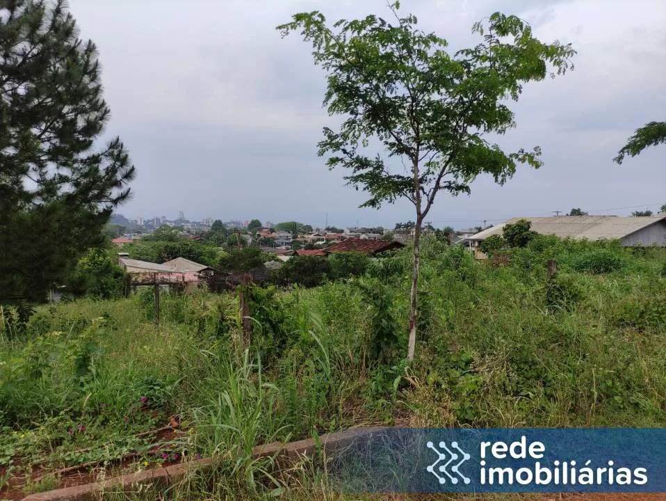 Terreno Novo Horizonte - 426,25m²