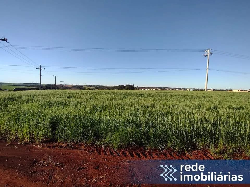 Área de terra em Guia Lopes