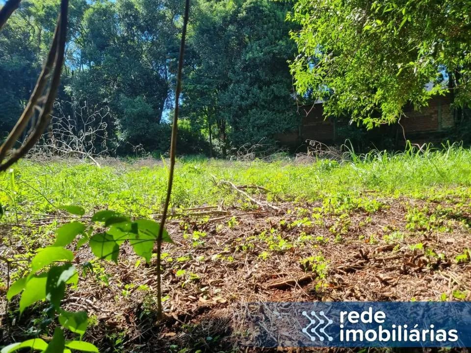 Terreno prox Av. Expedicionário Weber