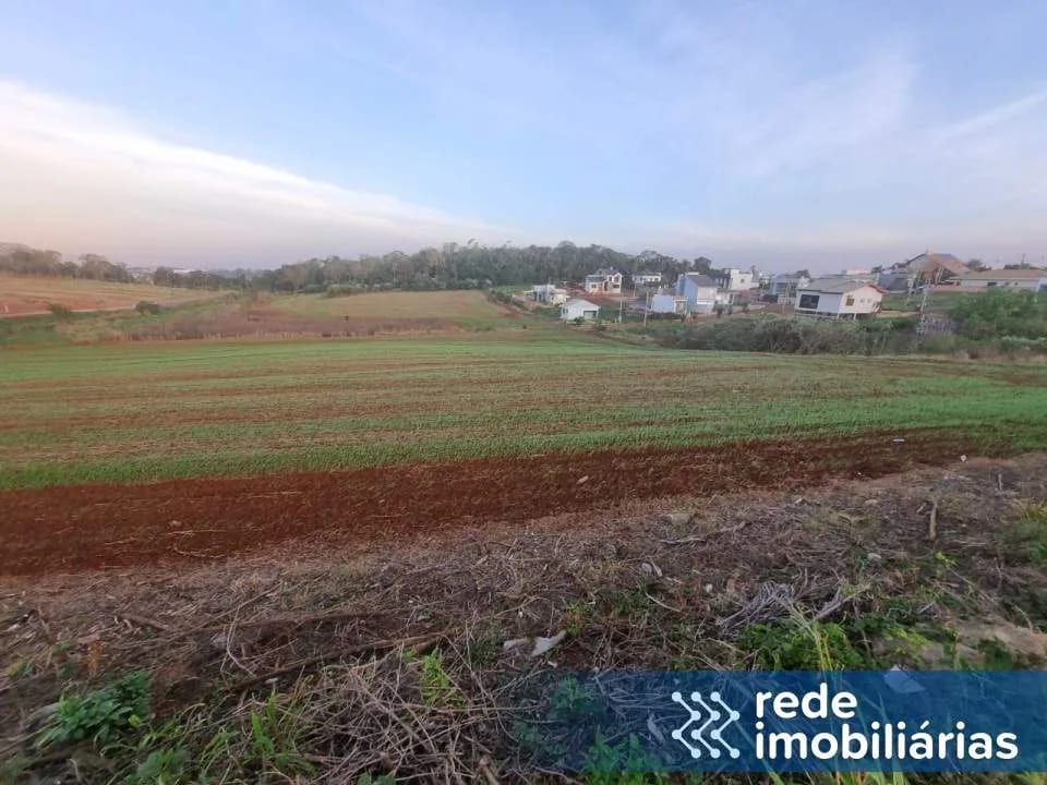 Terreno na Timbauva